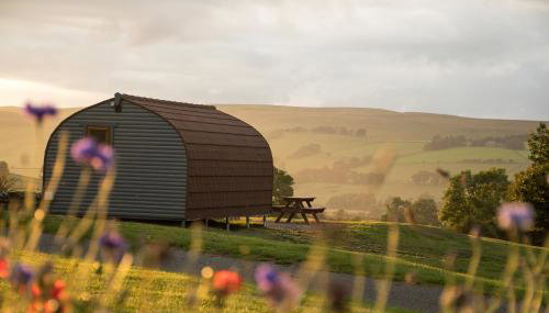 Wild Northumberland Glamping - Foto 3