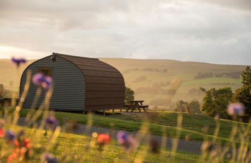 Wild Northumberland Glamping - Foto 3