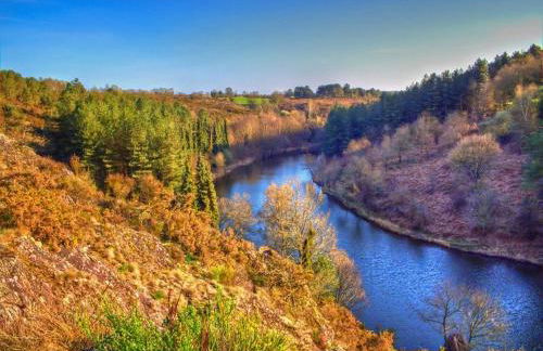 Gîte du Chat noir (Brocéliande) - Foto 19