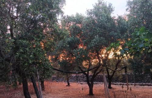 Casale Eucalipto - Foto 32