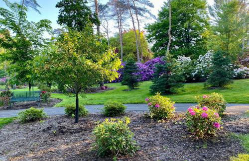 Spacious King Bed Suite at Antique Store - Foto 32