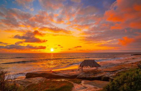 Sunny Gardens A Classic La Jolla Beach Home Close to Wind n Sea Beach - Foto 36