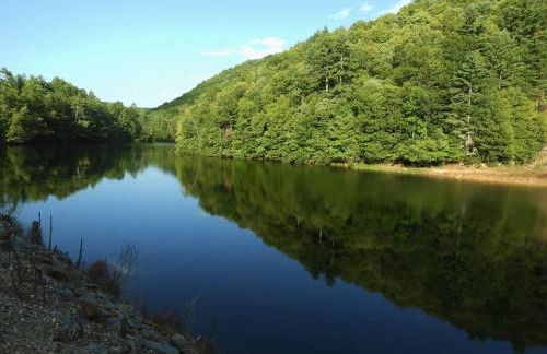 Yogi House Meditation Retreat - Foto 18