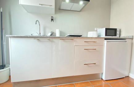 Apartamentos Pantón Ribeira Sacra - Foto 64