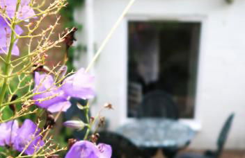 Peaceful cottage in heart of Winchcombe - Foto 23