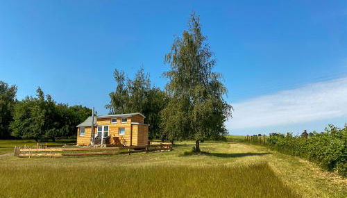 Tiny House Hygge - Foto 4, Garden