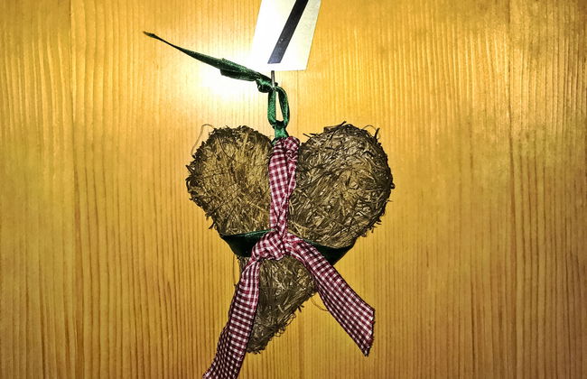 Anna-Katharina - Foto 28