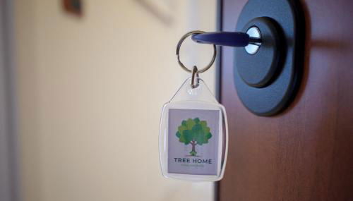 Tree home - Foto 5