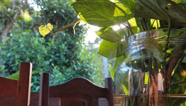 Carneiro Caiçara chalés- Casinhas aconchegantes em Ubatuba - Foto 5, Garden view