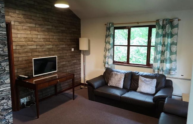 Goldcrest 4 Hot Tub - Foto 7