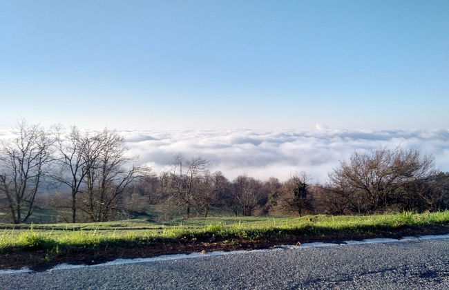 Quercia (SBO100) - Foto 20