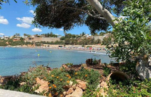 Luxury Penthouse Oasis Beach VIII Orihuela Torrevieja Punta Prima - Foto 53