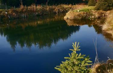 Agroturystyka Świerki - Foto 8