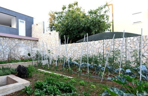 Apartments Care - Foto 41