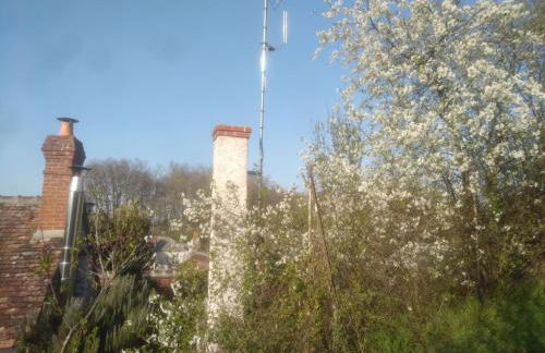 La Maison Bleue de Husseau Ancienne ferme semi-troglodytique 18e siècle - Foto 14