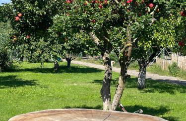 Am Gallowayhof - Foto 30