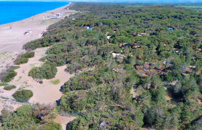 Apartment in Sassetta With Pool and Scenic Views - Photo 28