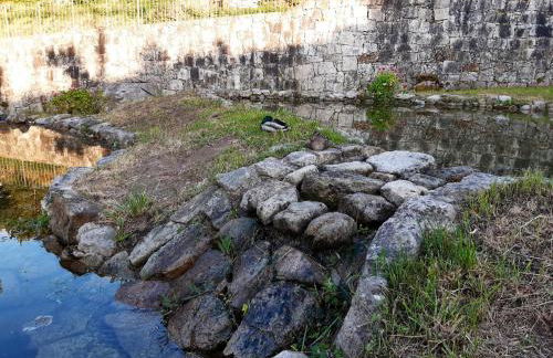 Beautiful villa in Póvoa de Lanhoso with pool and garden - Foto 61