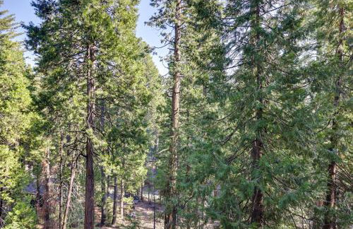 Cold Springs Mountain Cabin Hot Tub and Generator - Foto 29