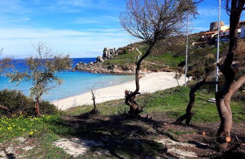 Le Villette di Ruoni - Photo 6