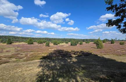 Ferienhaus Klinger - Photo 14