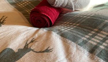 Körners Ferienwohnung am Fuße des Voithenbergs - Photo 3