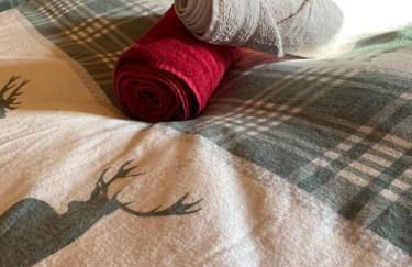 Körners Ferienwohnung am Fuße des Voithenbergs - Foto 3