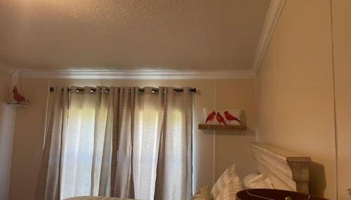 Thomas House - Photo 5