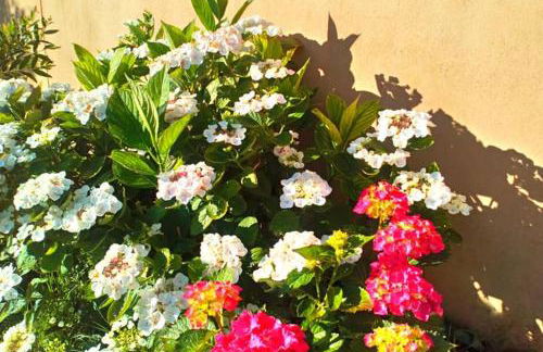 STUDIO Jasmin & Jardin 1 à 2 pers à Villa Terra - Photo 18