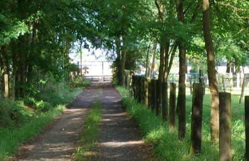 Maison 6 chambres au cœur du circuit des 24h du Mans - Photo 10