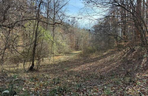 Waterfalls Canyon 41.5 Acres W Miles of Trails - Foto 14