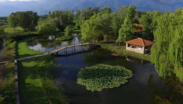 Kerkini Lake - Private Full-Day Tour - Foto 2