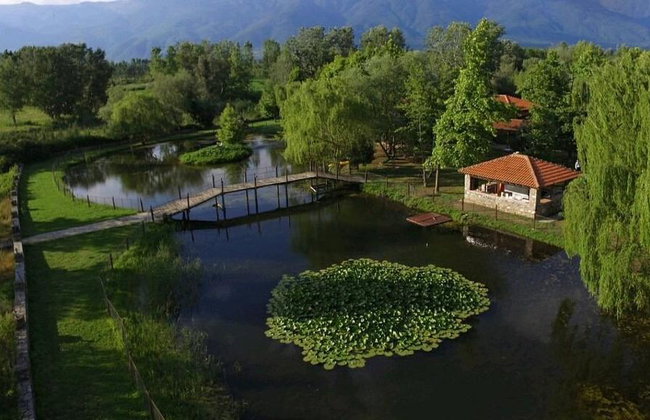 Kerkini Lake - Private Full-Day Tour - Photo 2