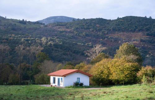La madriguera azul - Foto 1