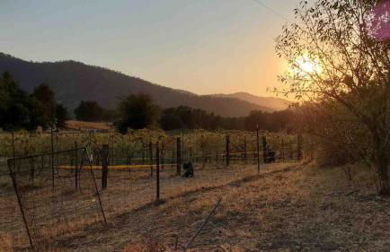 Delilah Ridge Winery Mid Mod Guesthouse - Foto 45