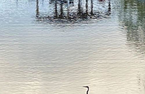 Eagle's Nest Cottage - Lake Anna Waterfront - Foto 20