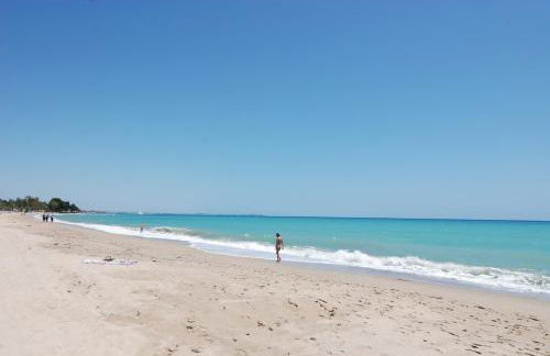 Zeus Guardamar Seaview - Foto 34