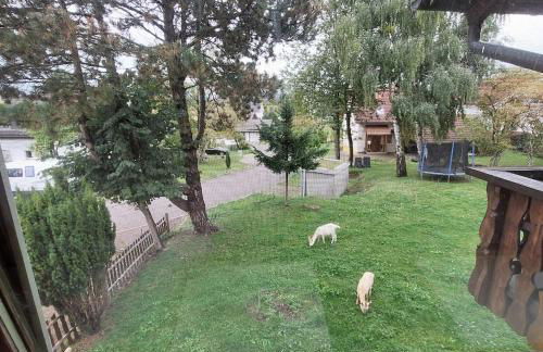 Ruheoase im Südschwarzwald - Foto 16