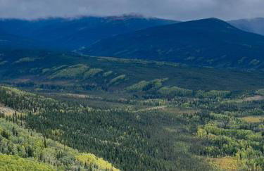 Northern Lights Log House w/ Sauna - Foto 66