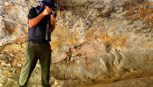 Sete Cidades National Park Tour - Foto 4