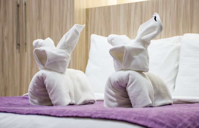 Alicia Apartelle - Foto 17