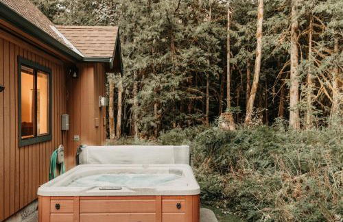 Silver Lake #67 - Foto 34