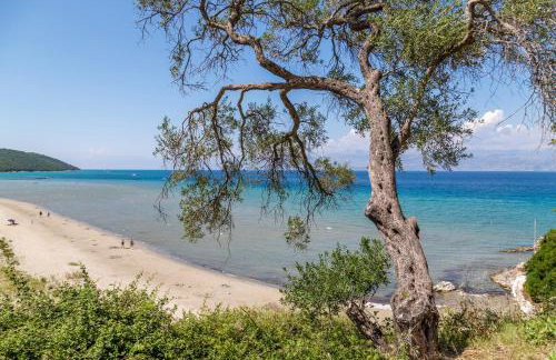 Alisachni Apartments 2nd Floor - Photo 38