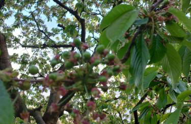 casa vacanza da ghislin - Foto 47