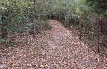 Country Oasis B - Foto 23