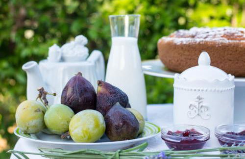 L'orto di Hans - Foto 20