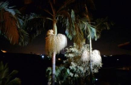 Chacara Sobrado Igarata - Foto 41