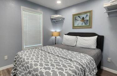 Studio Grande - Foto 14