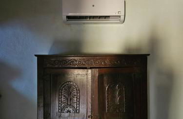 Experience Alpacas in Andalucia - Foto 11