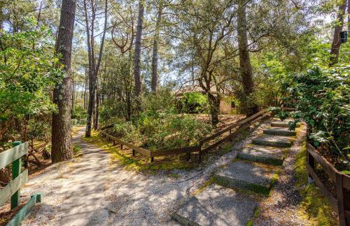 pavillon cozy dans la pinède - 2 chambres- 4 personnes - Foto 8